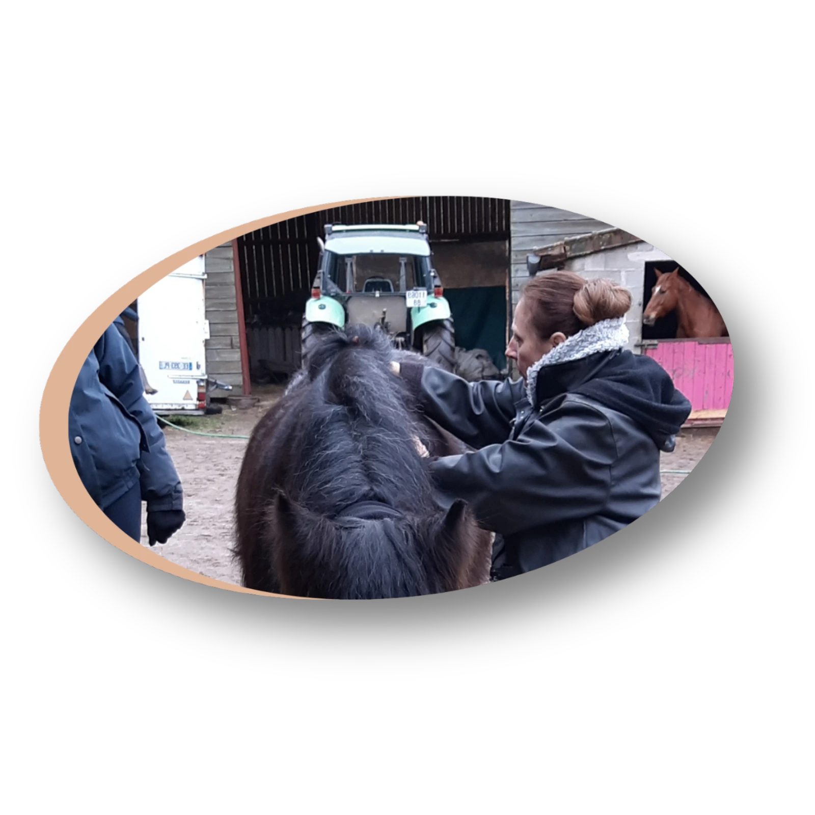 Avantages séance énergétique cheval poney Reiki bien-être équilibre vitalité