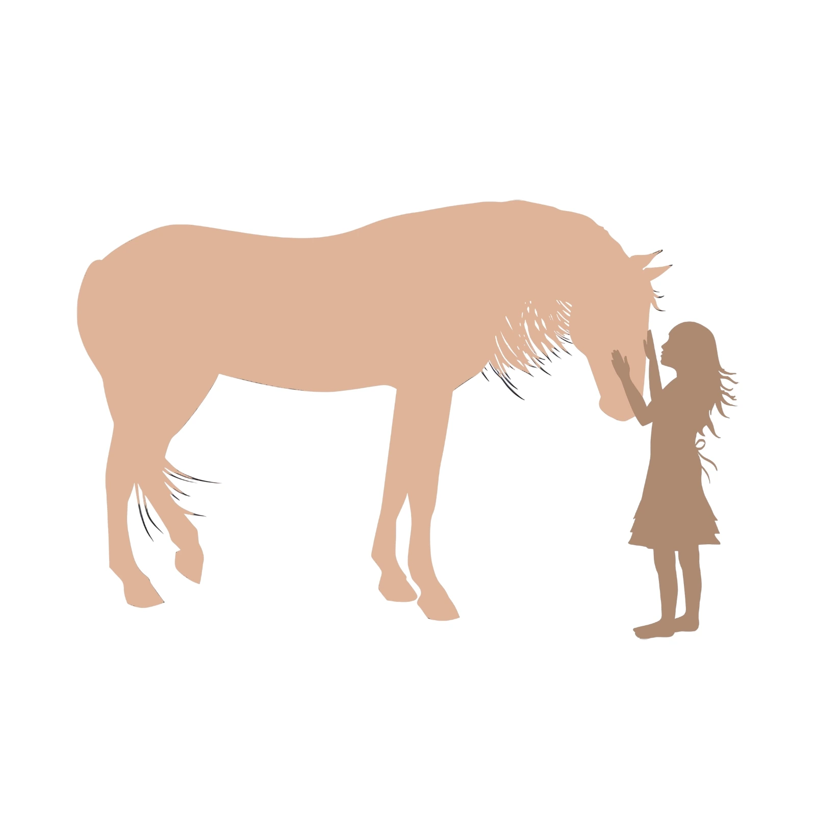 Communication animale cheval connexion émotionnelle compréhension intuitive