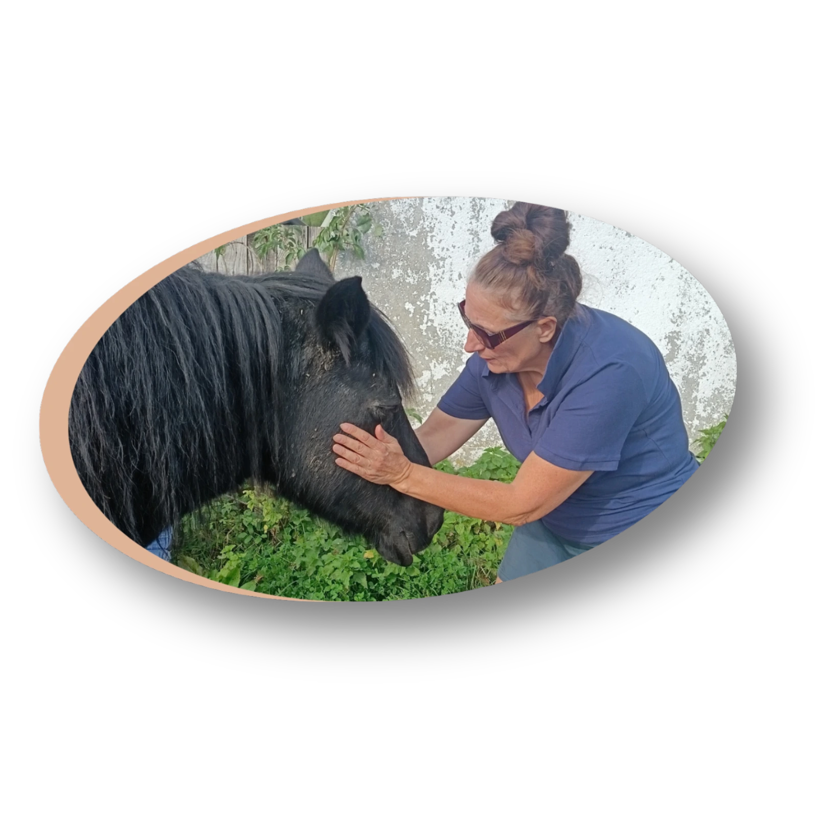 Découverte expérience énergétique naturelle cheval poney bien-être holistique personnalisé
