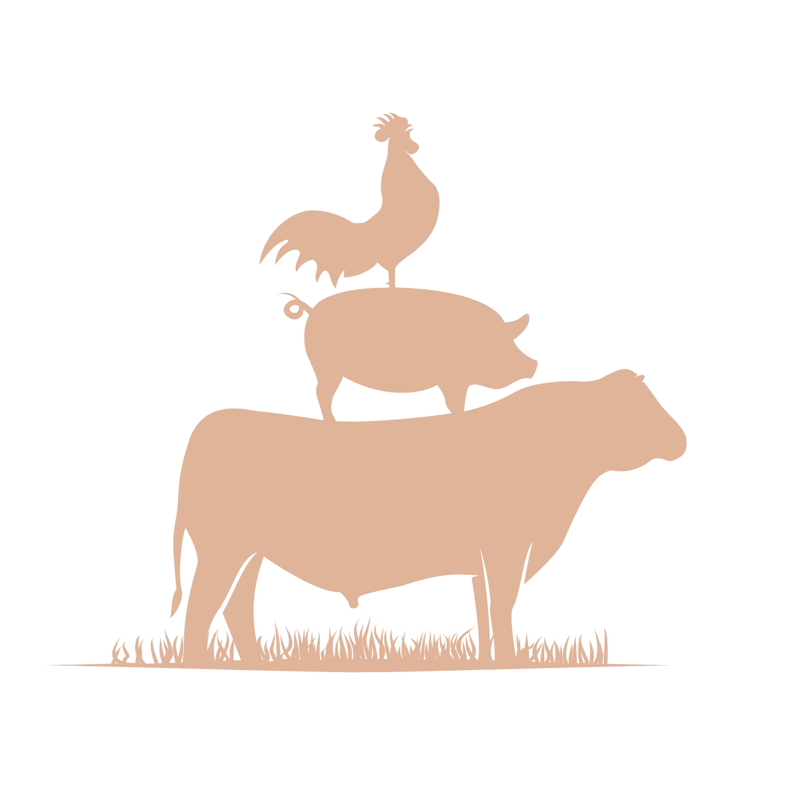Production lait vache montbéliarde optimisation rendement journalier bien-être