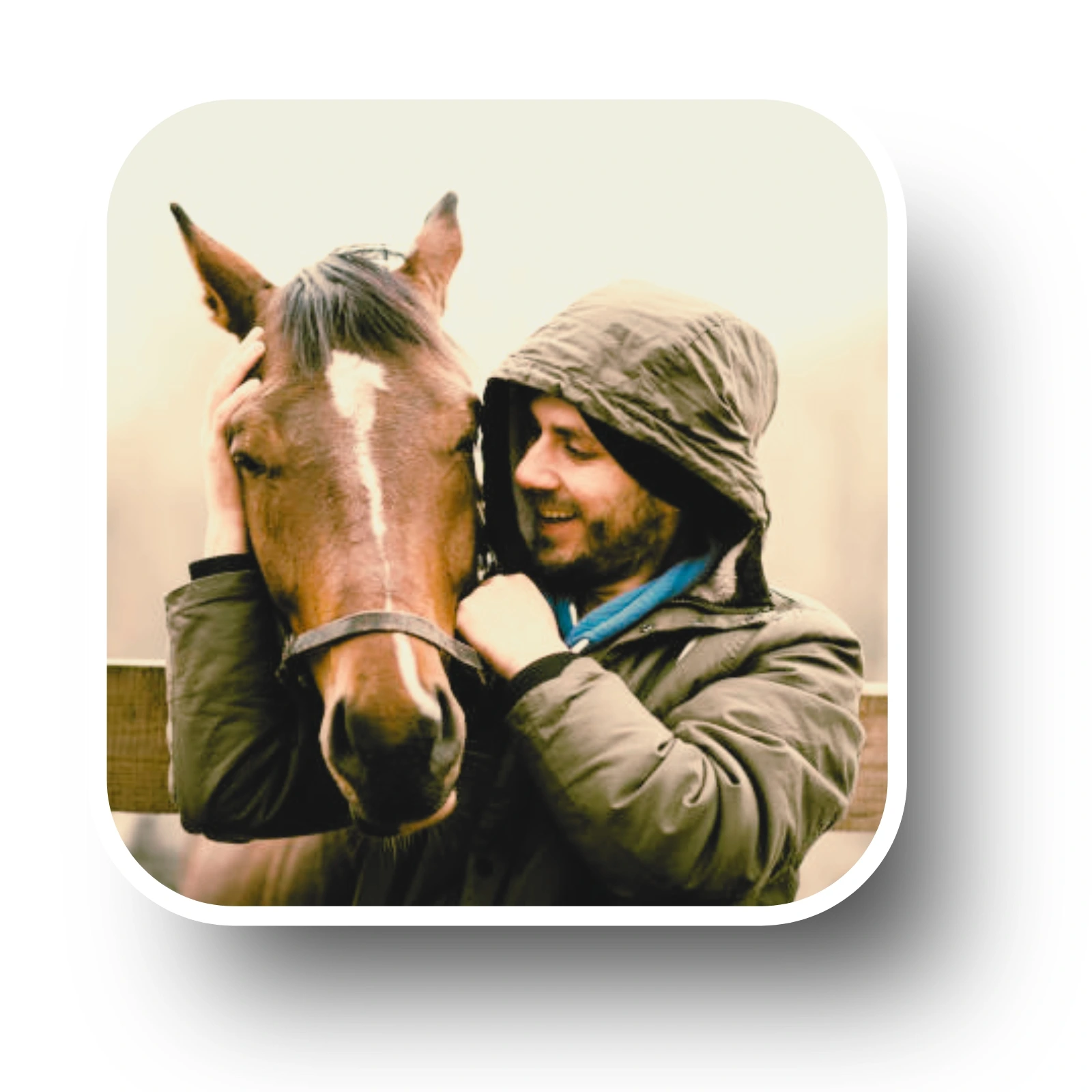 Relation cheval cavalier connexion harmonie confiance séance énergétique