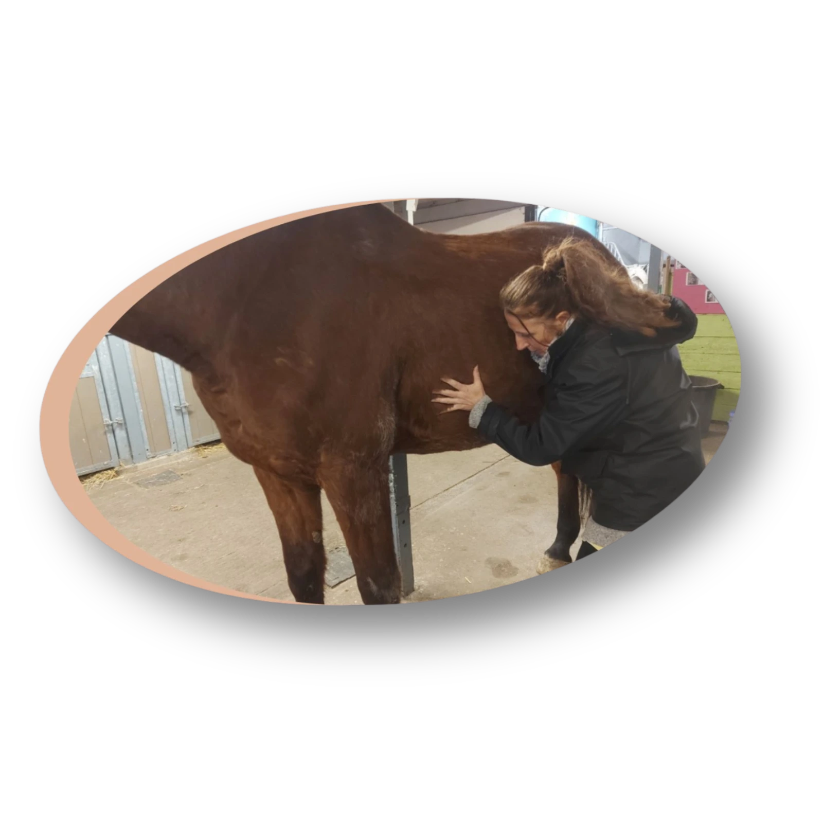 Réserver séance harmonisante cheval poney bien-être équilibre vitalité