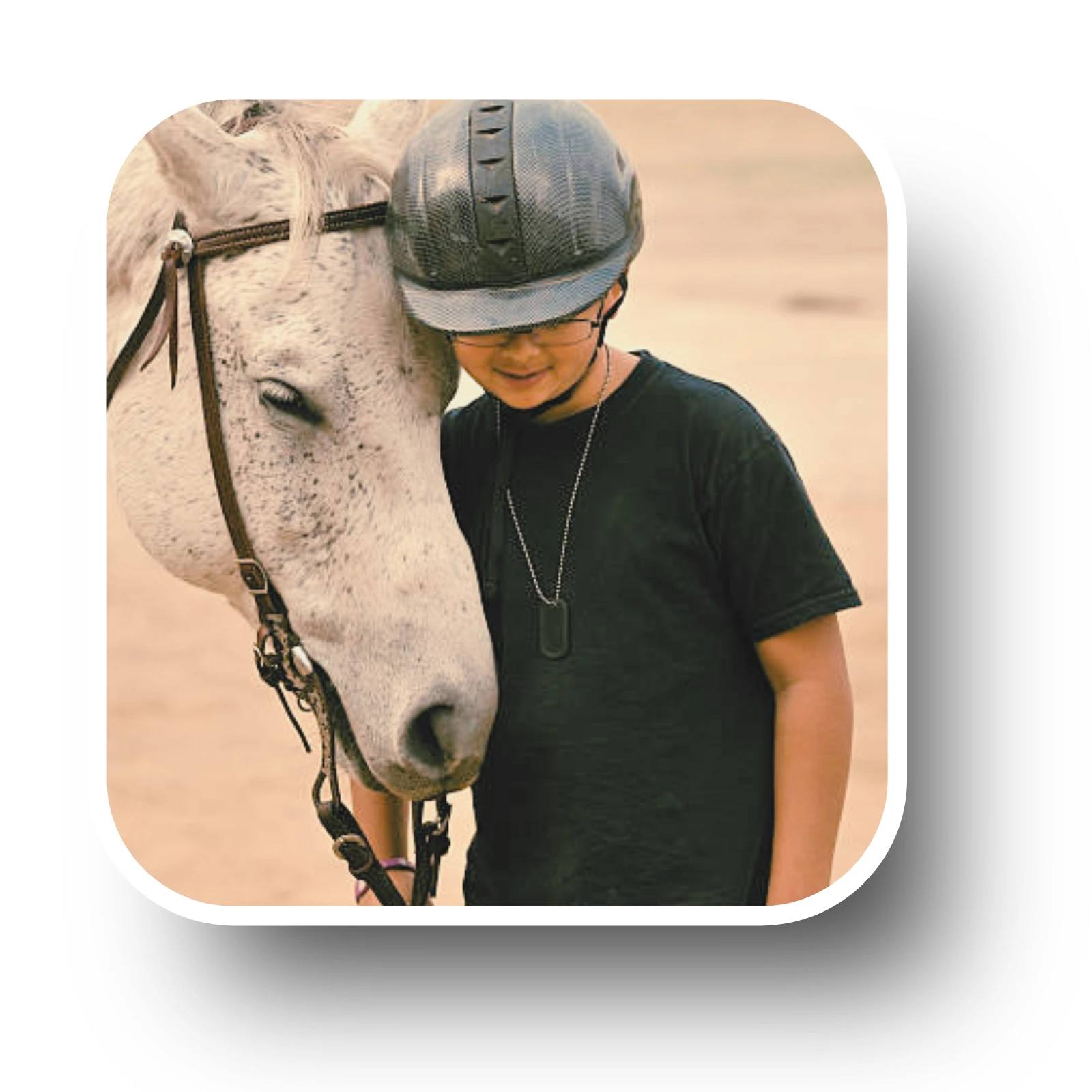 Techniques énergétiques cheval cavalier Reiki communication harmonisation