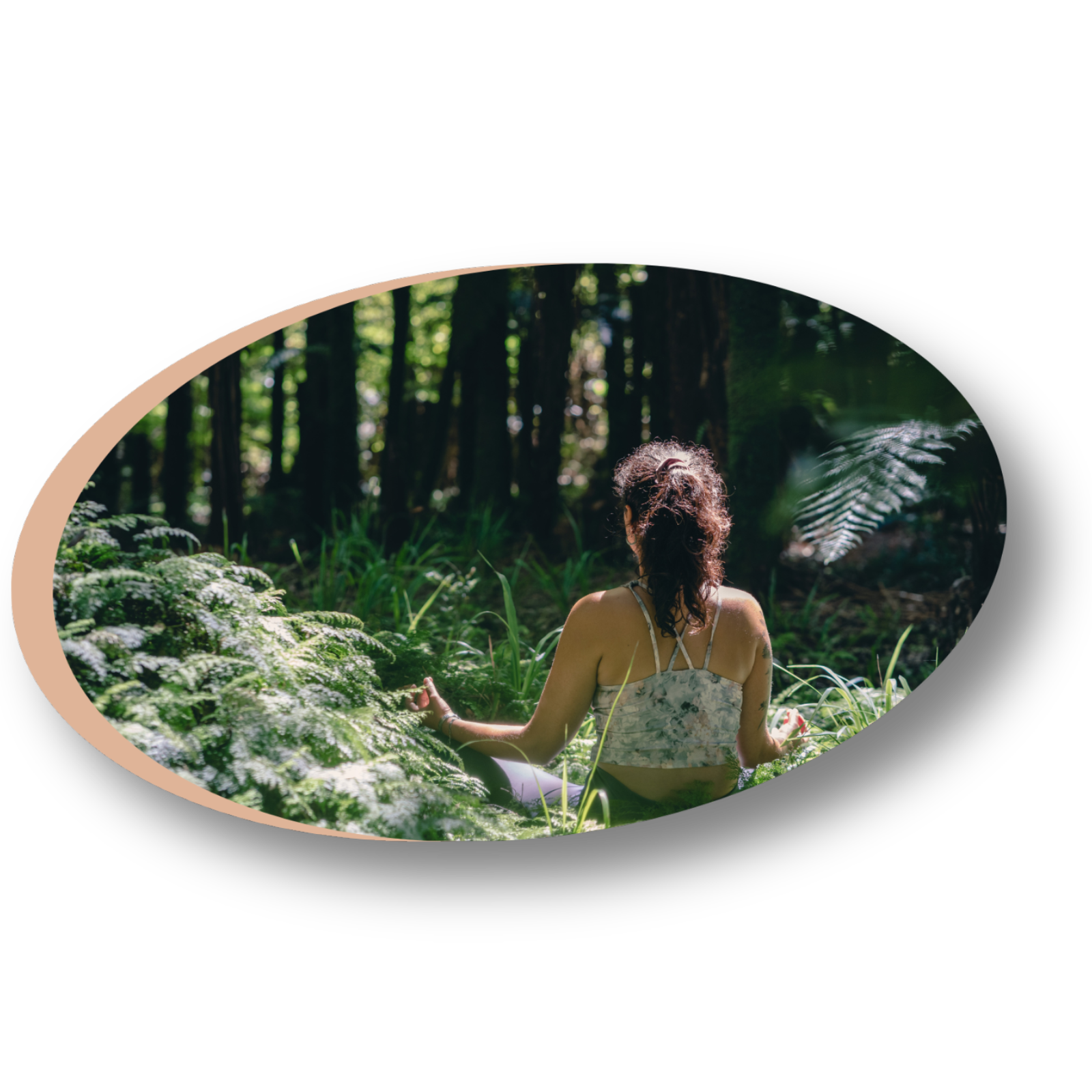 Séance de méditation guidée dans la nature vosgienne pour une reconnexion profonde.